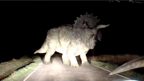 The 10 Biggest Mysteries of Dinosaur Evolution Solved (Digitally)