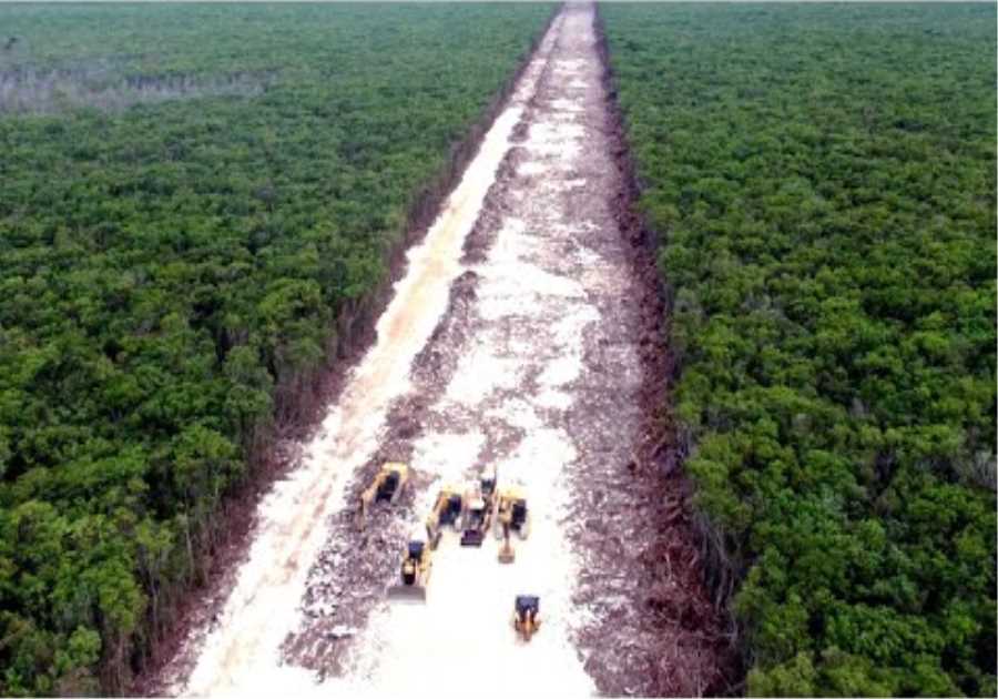 This Massive Crater In Central Africa Suddenly Opened Up And Released This Into The Wild