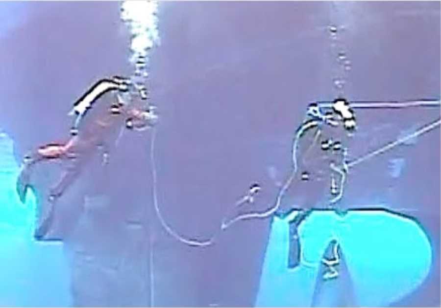 This Diver Makes A Surprising Discovery After Finding This Hidden Inside A Pharaoh's Tomb