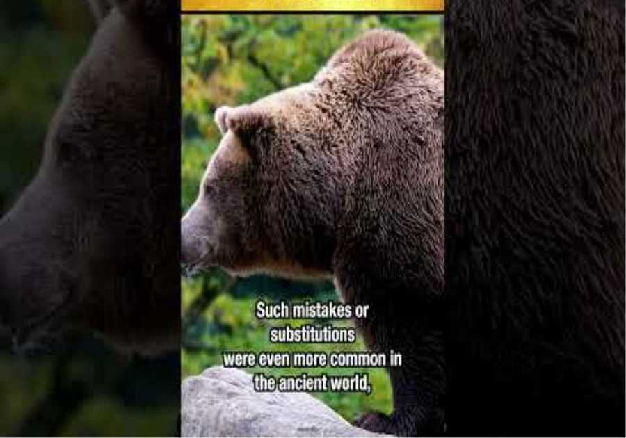 WH Plausible Mythical Creatures | Sasquatch