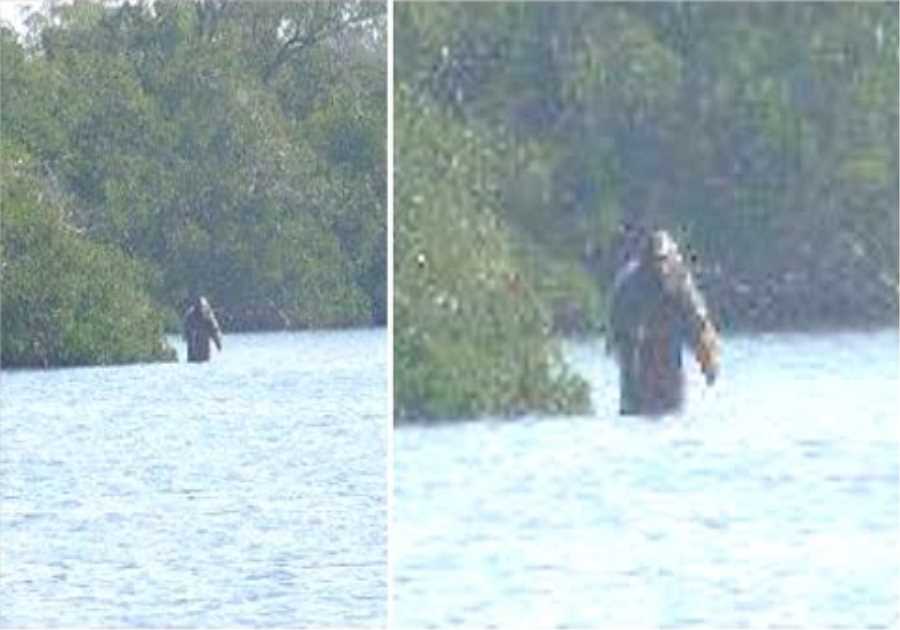 This Park Ranger Finally Exposed The Truth After Finding This Evidence Inside A National Park