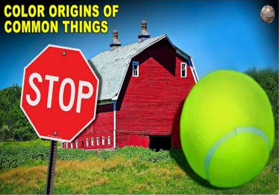 Why Common Items Are Specific Colors