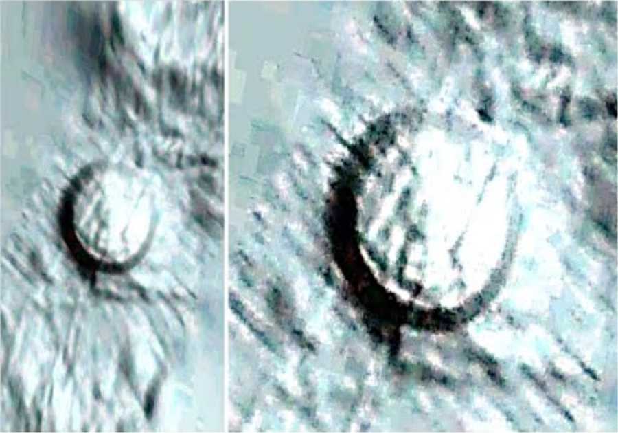 This Underwater Probe Just Sent Out A Message That Something Big Is Rising Out Of The Ocean
