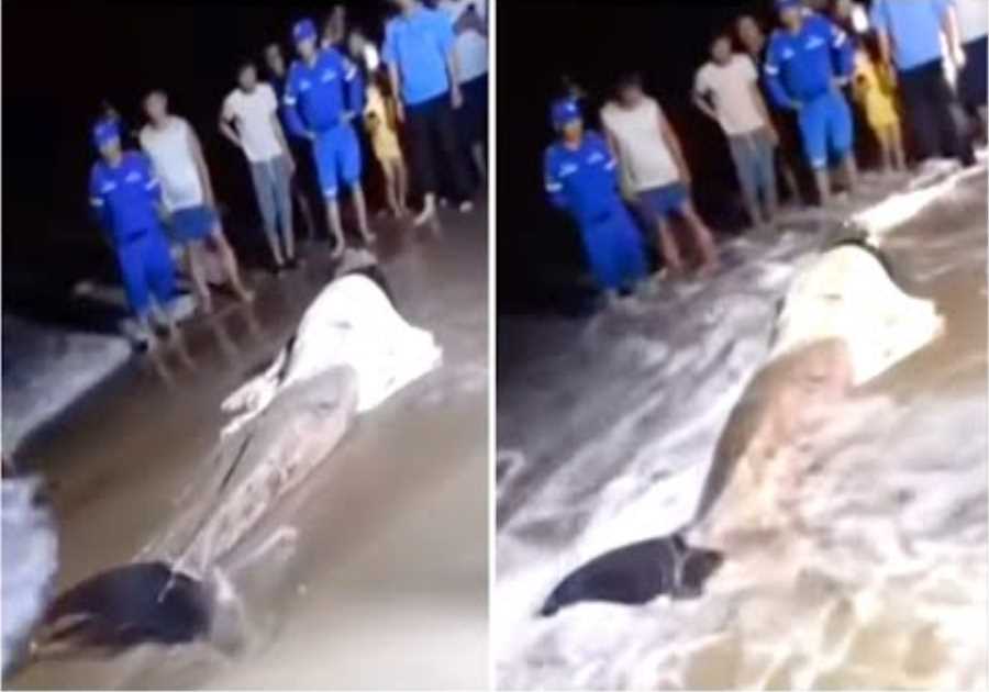 This Man Accidentally Made A Chilling Discovery After Finding This Sticking Out Of The Water