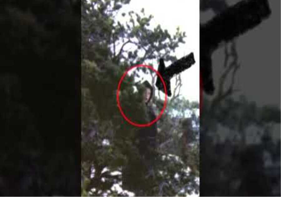 This Man Accidentally Photographed Something Chilling At The Grand Canyon #shorts