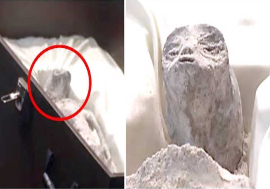 Mexican Officials Just Released The Clearest Evidence Of A Real Life Alien During Their UAP Hearing