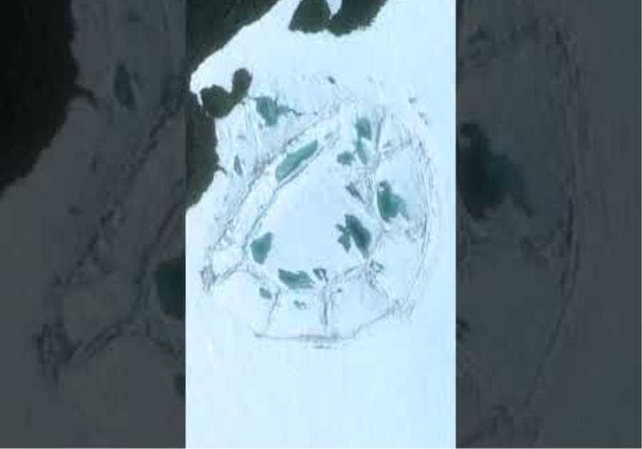 NASA Made A Surprising Discovery After Finding This In Antarctica #shorts