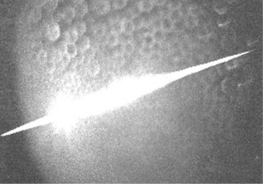This Antarctica Observatory Camera Detected Something Big Hitting The Ice Dozens Of Times