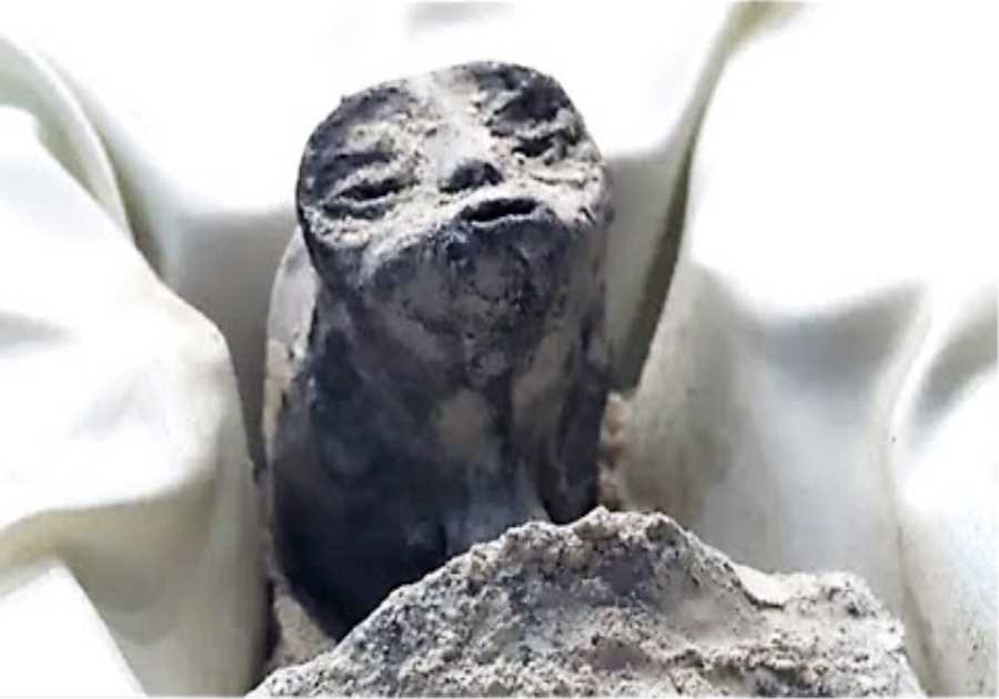 This Forensic Specialist Just Revealed The Truth About The Mexican Aliens Origins And Genetic Makeup