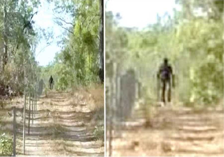 This Explorer In The Australian Outback Encountered Something Big While Hiking In This Forest
