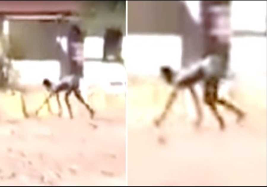 5 Mysterious Creatures Caught On Camera That Cannot Be Explained