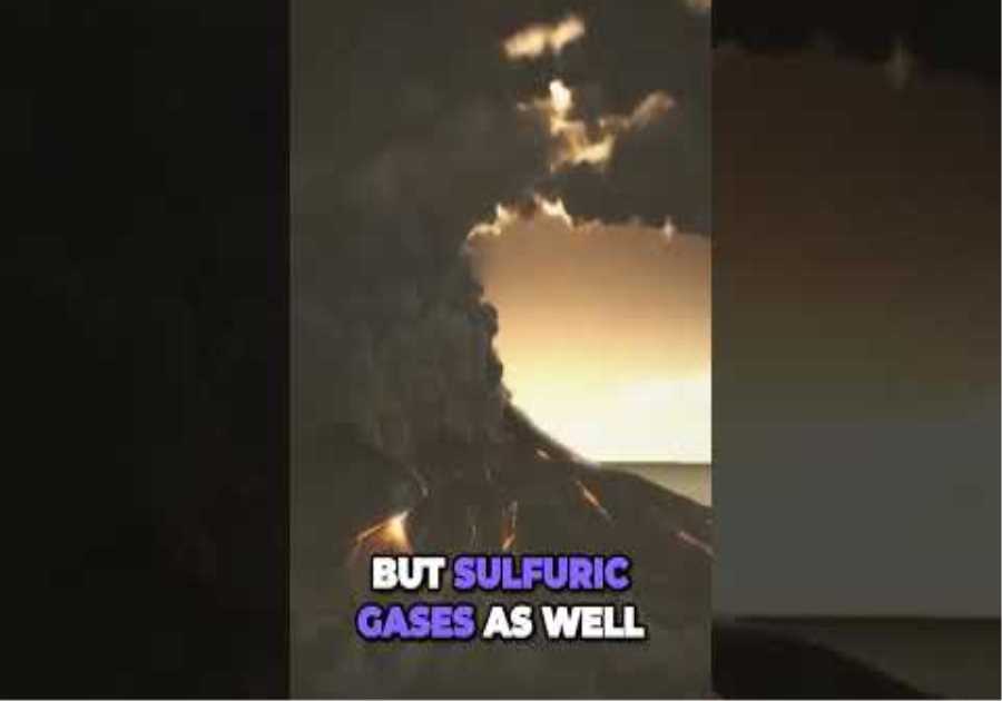 Volcanic eruptions: impact on surface life