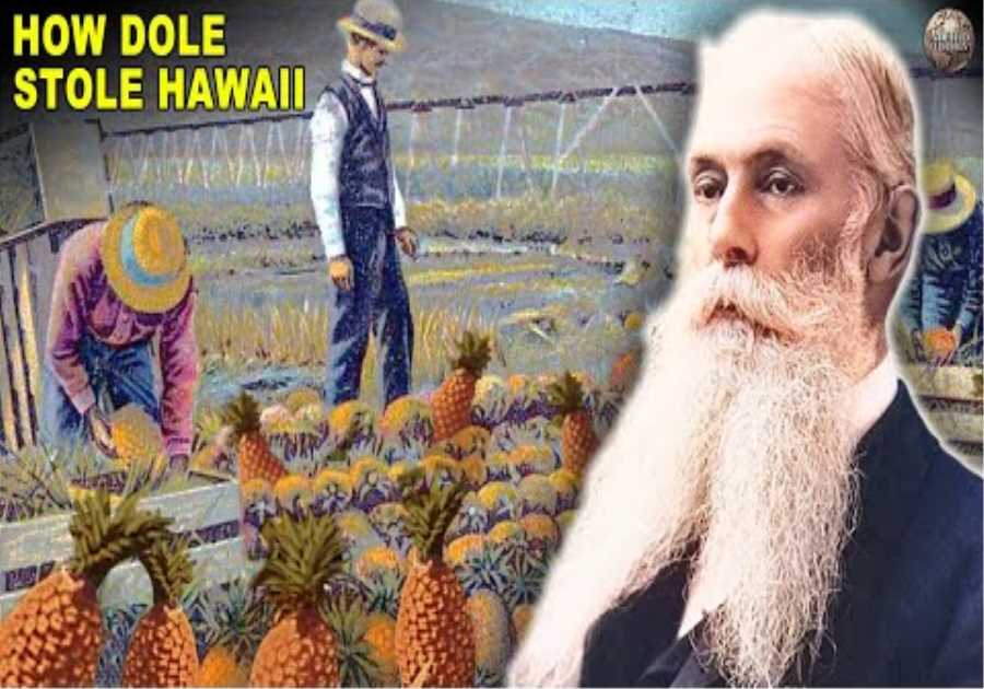How Hawaii Was Stolen by a Fruit Juice Company