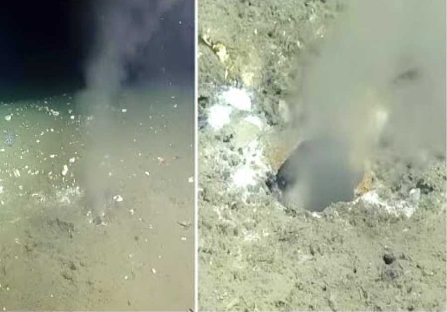 They Sent A Camera To The Bottom Of The Ocean But Never Expect To Find This Chilling Discovery