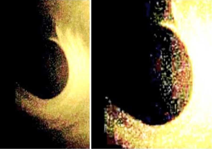 NASA Just Accidentally Detected Something Massive That Showed Up Next To Our Sun Today