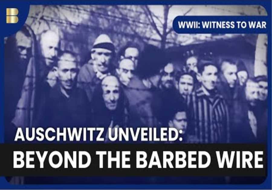 Auschwitz Horror Revealed - WWII: Witness to War - S01 EP11 - History Documentary