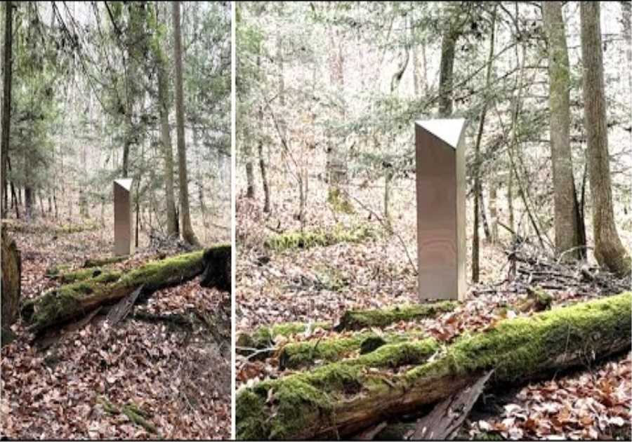 This Man Just Found A Giant Metal Monolith Buried In The Middle Of This Forest