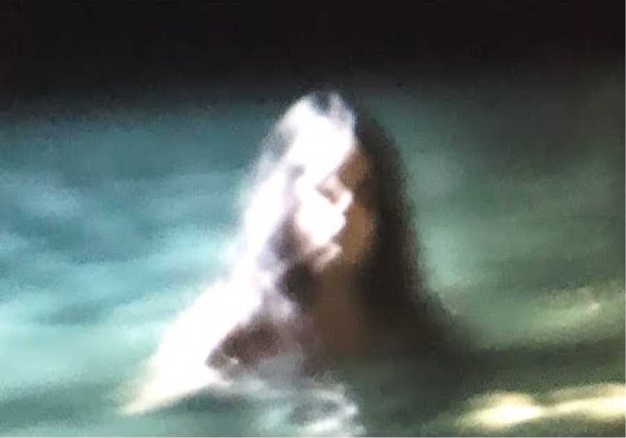 This Fisherman Couldn't Believe What He Encountered While Out In The Middle Of The Ocean