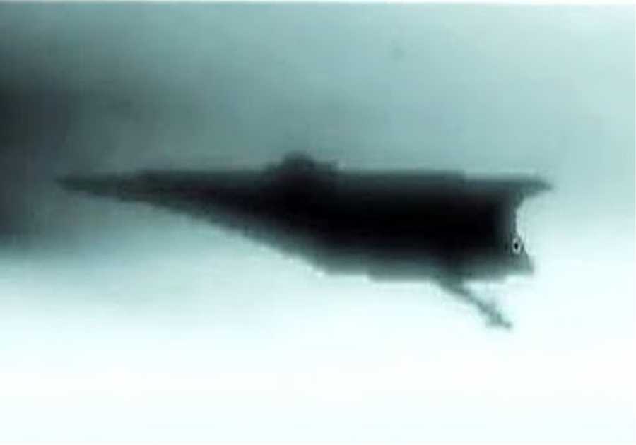 This Huge Object Just Set Off Earth's Defence System After It Was Seen Entering Our Solar System