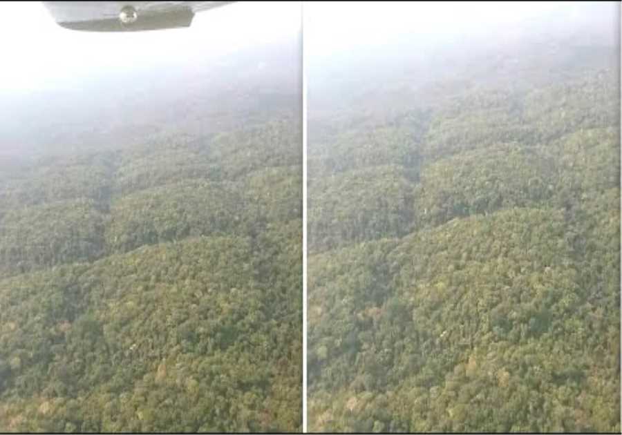Scientists Just Accidentally Found That Something Big Opened Up In The Middle Of The Amazon Jungle