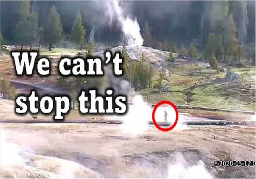 Yellowstone National Park Just Sent A Chilling Message After Finding This Inside The National Park